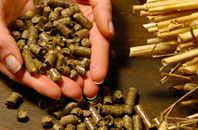 free Clova biomass boiler quotes
